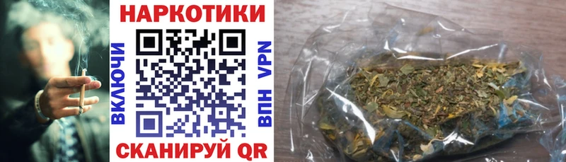 Сколько стоит Дорогобуж Cocaine  hydra онион  Меф мяу мяу  Alpha PVP  Псилоцибиновые грибы 