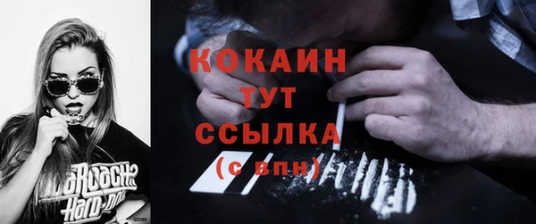 дмт Аркадак