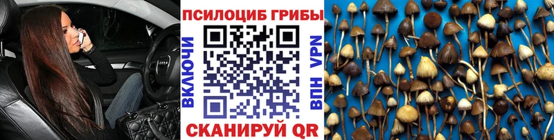 Галлюциногенные грибы Psilocybe Дорогобуж